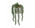 String of Pearls Plant Pot  - Anko