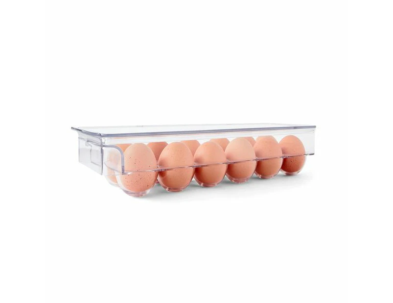 Clear Egg Storage - Anko - Clear