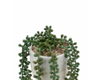 String of Pearls Plant Pot  - Anko