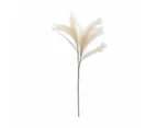 Artificial Pampas Grass - Anko