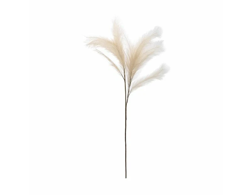 Artificial Pampas Grass - Anko