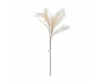 Artificial Pampas Grass - Anko