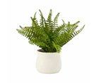 Artificial Fern in Pot - Anko