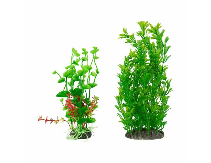 Aquarium Plants, 2 Pack - Anko