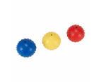 Pet Toy Fetch Ball, Assorted - Anko