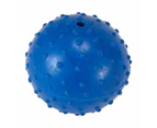 Pet Toy Fetch Ball, Assorted - Anko