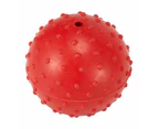 Pet Toy Fetch Ball, Assorted - Anko