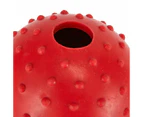 Pet Toy Fetch Ball, Assorted - Anko