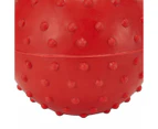 Pet Toy Fetch Ball, Assorted - Anko