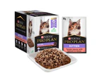 Pro Plan Kitten Salmon Gravy Pouch Wet Cat Food 85G