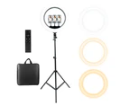 19" Ring Light with 210cm Tripod stand, 3 phone holder chips and bag
