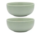 2x Ecology Element 20cm Stoneware Serving Noodle/Laksa Bowl Round Tableware Dew