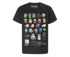 Minecraft Boys Short Sleeved T-Shirt (Black)