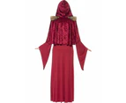 High Priestess Adult Costume Size: Large