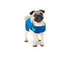 Dog Life Jacket - Puppy Swim Float Adjustable Safety Vest - All For Paws
