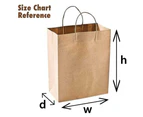 50x Brown Paper Bags - Kraft Eco Recyclable Reusable Gift Carry Shopping Retail