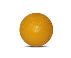 Buffalo Sports Kwick Cricket Ball - Large - Yellow