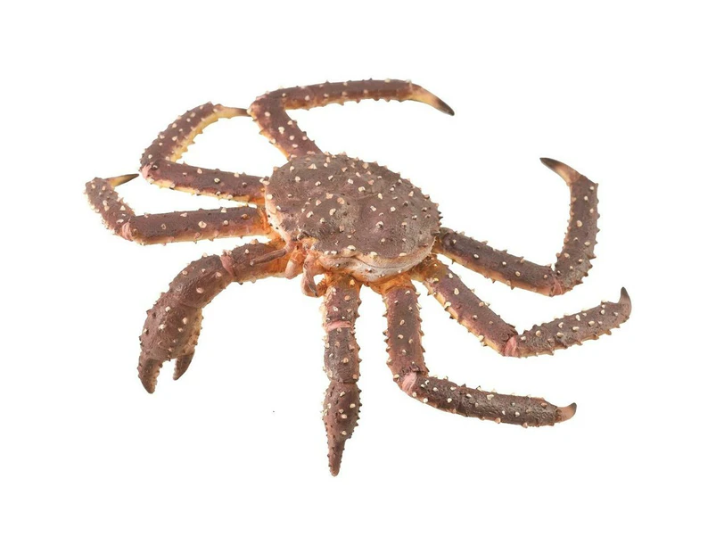 Collecta - King Crab 88851