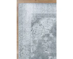 Euphrates Isin Transitional Grey Rug