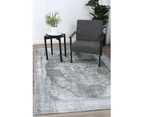 Euphrates Isin Transitional Grey Rug