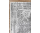 Euphrates Isin Transitional Beige Rug