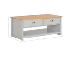 vidaXL Coffee Table Grey 100x50x42 cm