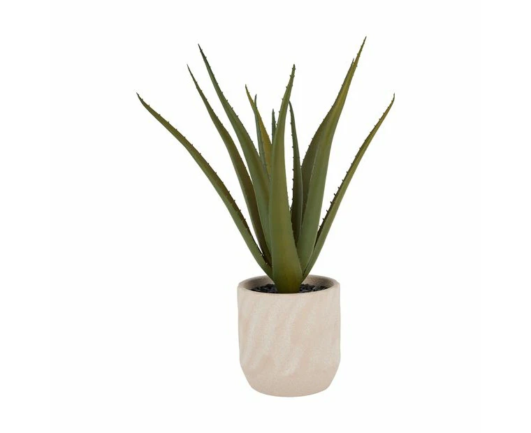 Artificial Aloe Vera in Pot - Anko