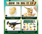 12 Pack Dino Eggs Dig Kit,Dig Up Dinosaur Fossil Eggs, Break Open 12 Unique Eggs and Discover 12 Cute Dinosaurs, Easter Digging Toy for 3-12 Year Old Boys