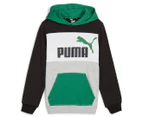 Puma Youth Boys' Essentials Block Hoodie - Archive Green