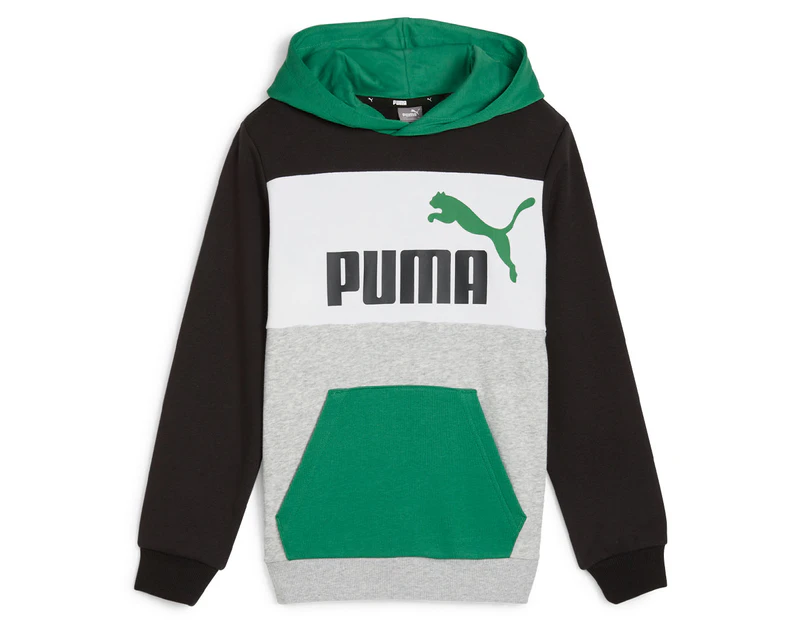 Puma Youth Boys' Essentials Block Hoodie - Archive Green
