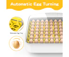 Advwin 56 Egg Incubator w/LED Candle Lamps Fully Automatic Digital Turning Chicken Hatcher