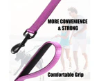 Comfortable padded pet leash, traffic handle and easy buckle for large, medium and small dogs