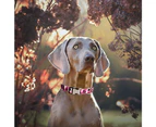 Two dog collar with pattern is suitable for small size and can be used for walking and training