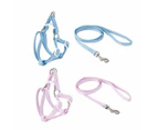 Puppy Harness & Lead, Assorted - Anko