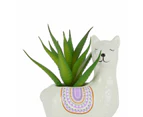 Artificial Llama Succulent - Anko - Multi