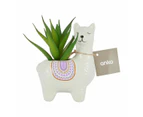 Artificial Llama Succulent - Anko - Multi