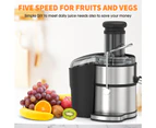 Powerful 800W Juicer, Large Capacity 2L Pulp Container and 1.1L Juice Cup, 75mm Extra Large Feeding Tube, Stainless Steel Housing with Anti-Drip Function