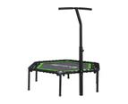 Everfit 48inch Hexagon Trampoline Kids Exercise Adjustable Handrail Green