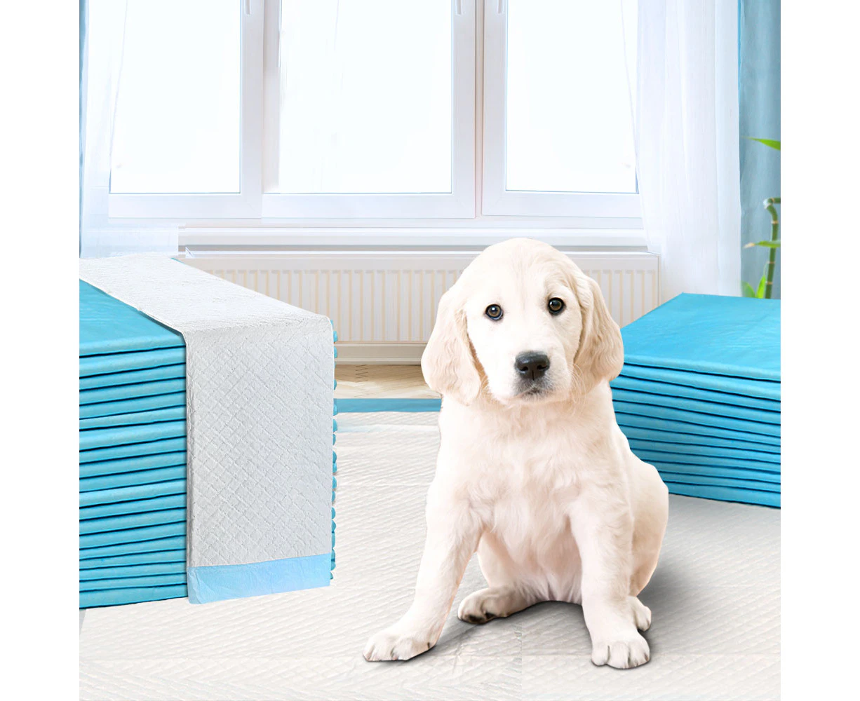 i.Pet Pet Training Pads 200pcs 60x60cm Puppy Dog Toilet Pee Indoor Super Absorbent Blue