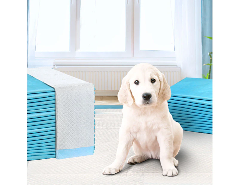 i.Pet Pet Training Pads 200pcs 60x60cm Puppy Dog Toilet Pee Indoor Super Absorbent Blue