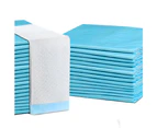 i.Pet Pet Training Pads 200pcs 60x60cm Puppy Dog Toilet Pee Indoor Super Absorbent Blue