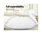 Giselle Bedding Duck Feather Down Pillow Luxury Twin Pack