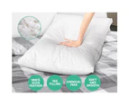 Giselle Bedding Duck Feather Down Pillow Luxury Twin Pack