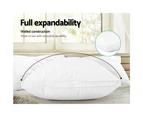 Giselle Bedding Goose Feather Down Pillow Luxury Twin Pack