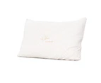 Giselle Bedding Memory Foam Pillow Bamboo Cover Twin Pack