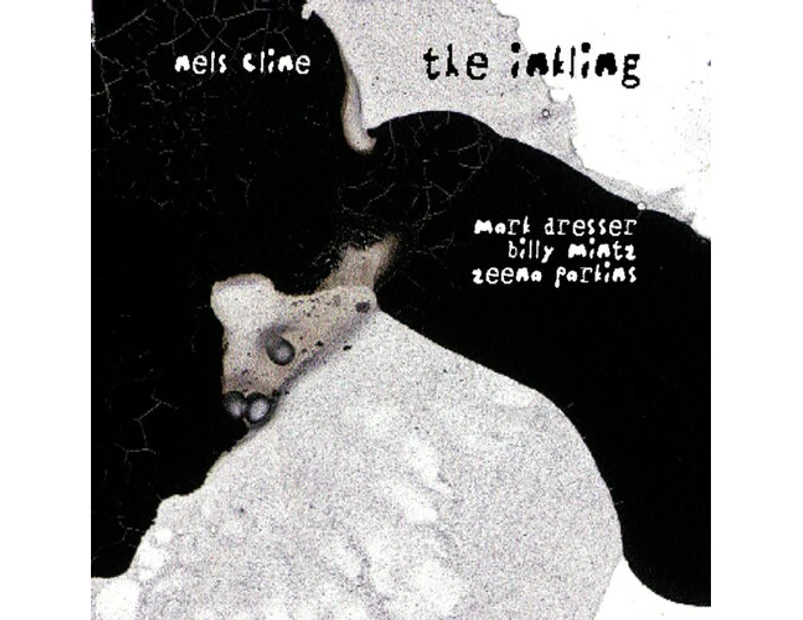 Nels Cline - The Inkling  [COMPACT DISCS] USA import
