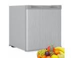 Compact Refrigerator, 50L Portable Mini Bar Fridge with Freezer, Adjustable Temperature, Removable Basket