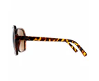 Atum Sunglasses Aelius C2 Shiny Havana Brown Gradient