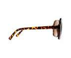 Atum Sunglasses Aelius C2 Shiny Havana Brown Gradient