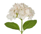 Belle Hydrangea Flower 50cm Stems (Set of 3)
